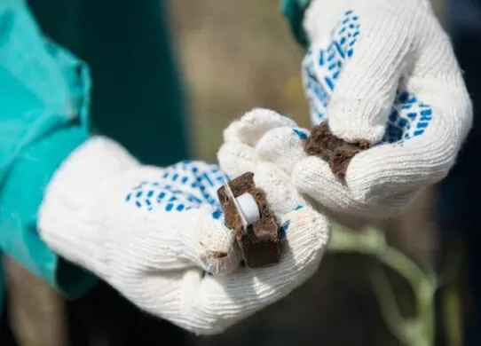 На Житомирщині проти сказу вакцинуватимуть диких тварин