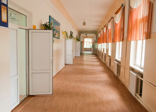 У ліцеї на Житомирщині травмувалася 10-річна дитина