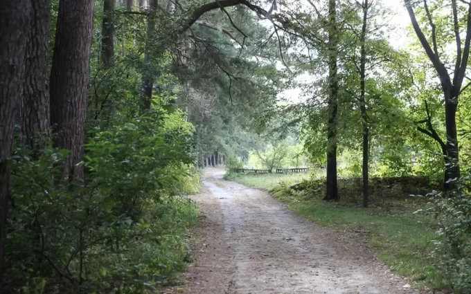 Теплий вересень: погода у Житомирі на тиждень