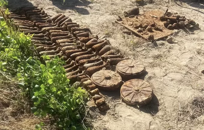 Замість картоплі - боєприпаси: мешканка Житомира відкопала зброю часів Другої світової війни