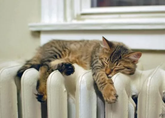 Житомир повністю готовий до початку опалювального сезону