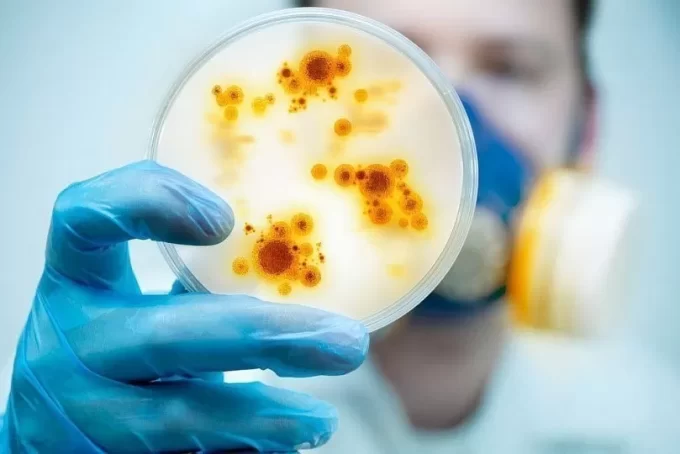 У житомирському ліцеї захворіло 7 дітей на гостру кишкову інфекцію Фото ілюстроване