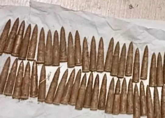 Мешканець Житомирської області зберігав вдома понад півсотні боєприпасів Фото: t.me/zt_police