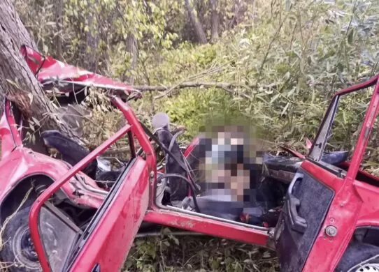 Смертельна ДТП на Житомирщині - є загиблий