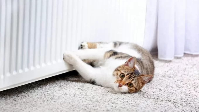 Підготовка до опалювального сезону - коли житомирянам чекати на гарячі труби?