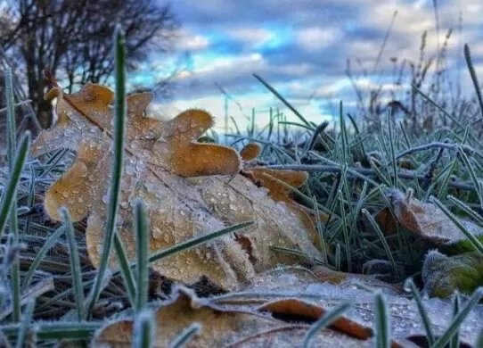 Прогноз погоди на жовтень