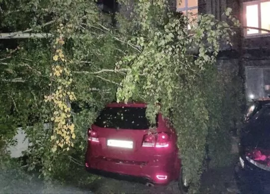 Внаслідок негоди на Житомирщині знеструмлено 54 населених пункти