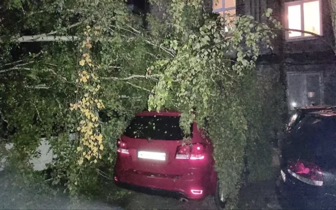 Внаслідок негоди на Житомирщині знеструмлено 54 населених пункти