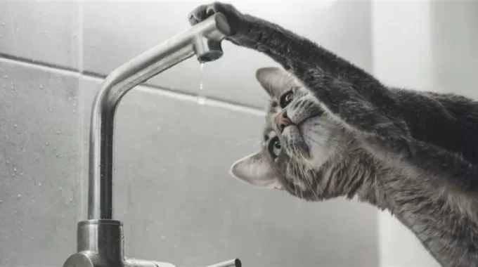 Центр Житомира без води: перелік адрес