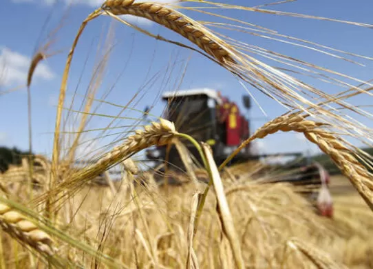 Житомирські аграрії отримали фінансову допомогу розміром близько 1,3 млрд грн