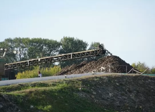 Цукровий завод на Житомирщині з 7 вересня виготовив понад 15 тонн цукру