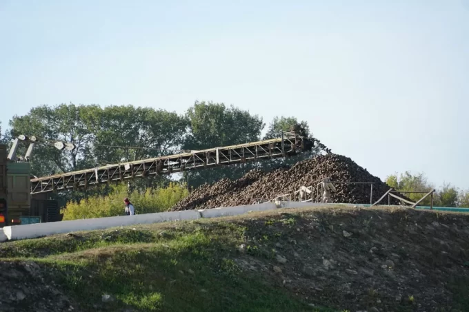 Цукровий завод на Житомирщині з 7 вересня виготовив понад 15 тонн цукру