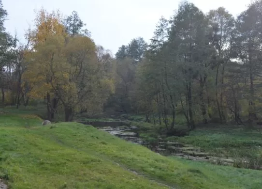 У Житомирській водоймі виявили потопельника