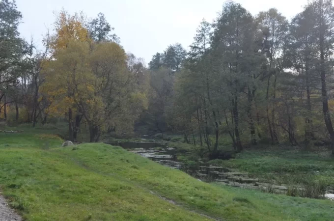 У Житомирській водоймі виявили потопельника