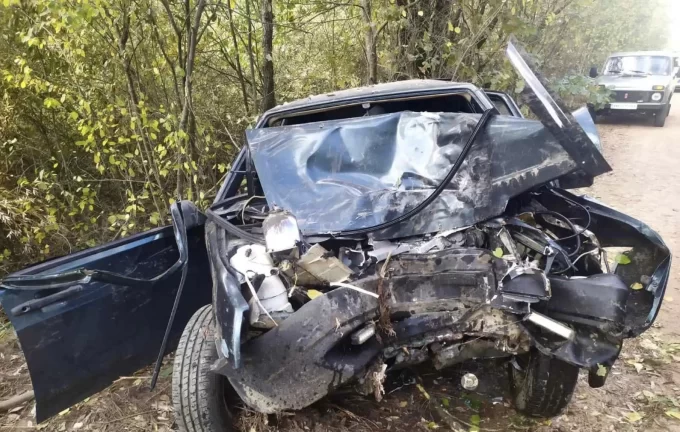 На Житомирщині нетверезий водій вʼїхав у дерево