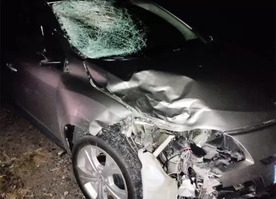 На Житомирщині під колесами авто загинув пішохід