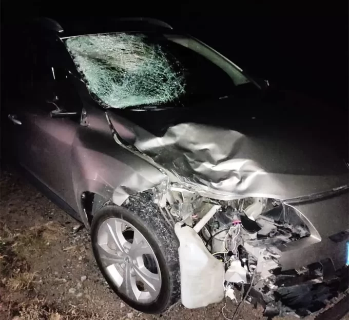 На Житомирщині під колесами авто загинув пішохід