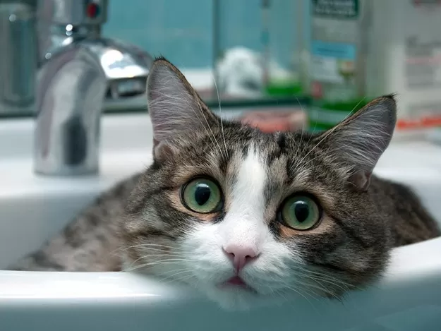 На Житомирщині у селищі Гуйва не буде води - мешканцям радять зробити запаси