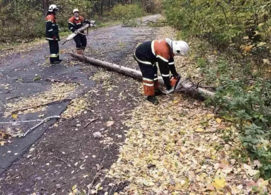 Внаслідок негоди на Житомирщині 1256 населених пунктів залишилися без світла