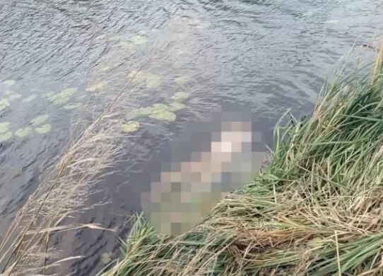 На Житомирщині чоловік вбив та розчленував свого зятя