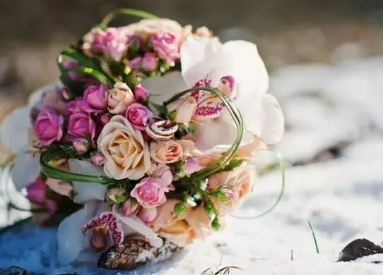 Зимові квіти