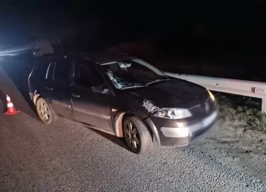 На Житомирщині загинула жінка під колесами авто