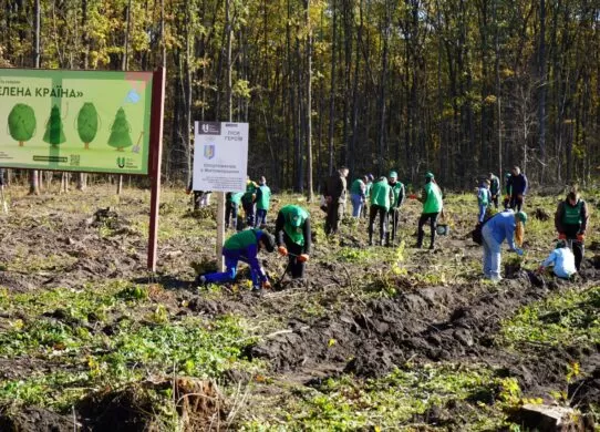 У Житомирській області посадили близько 17 тисяч дерев на честь полеглих Героїв