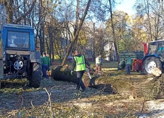 Повалені дерева та затоплені вулиці - на Житомирщині усували наслідки негоди