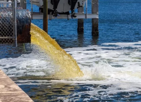 Внаслідок аварії на колекторі в Житомирі, забруднено річку Тетерів