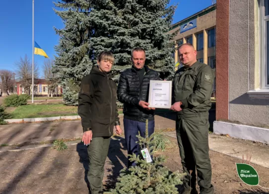 На Житомирщині у Народицькій громаді висадять 290 гектарів лісу