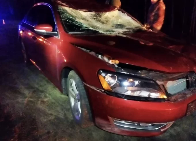 Внаслідок ДТП на Житомирщині постраждали двоє людей