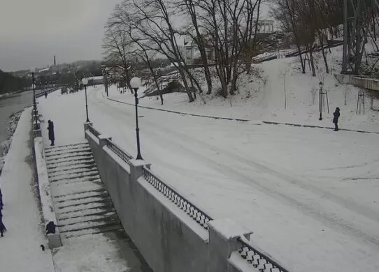 Ризикуючи власним життям: у Житомирі невідомий хлопець врятував собаку, яка провалилася під лід