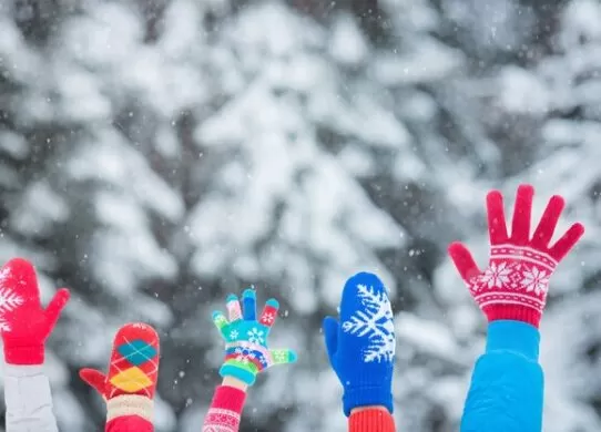 Стало відомо, коли у Житомирі розпочнуться зимові канікули