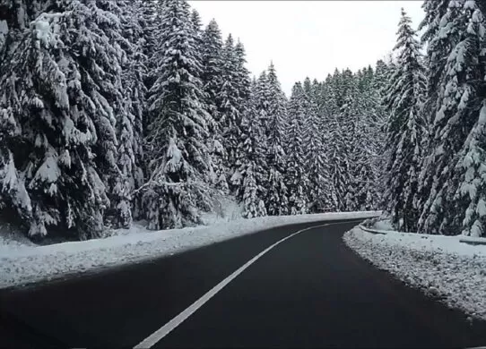 Тури у засніжені Карпати для жителів Житомира