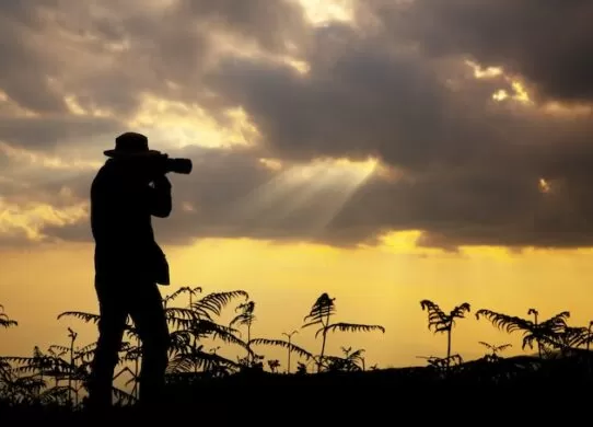 Як правильно обрати тепловізор? / Фото: jcomp freepik.com