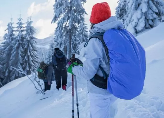 Скандинавська ходьба / Фото: frimufilms на Freepik