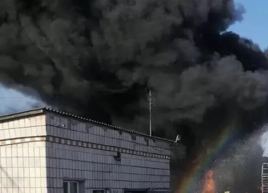 Через війну, екосистемі Житомирської області завдано збитків на близько 430 мільйонів доларів