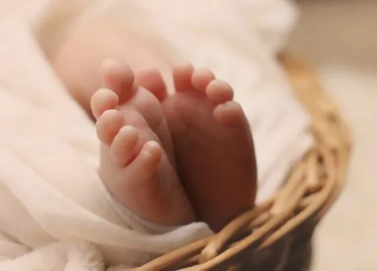 Під час повномасштабної війни, у Житомирській області народилося понад 13 тисяч дітей