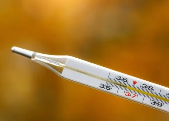 Грип навчанню не завадить - у Житомирі ліцеї не йтимуть на карантин