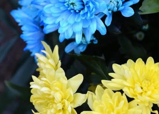 На фронті загинув 24-річний Андрій Подунай з Житомира