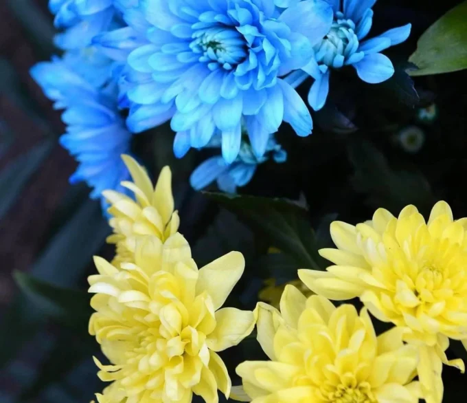 На фронті загинув 24-річний Андрій Подунай з Житомира