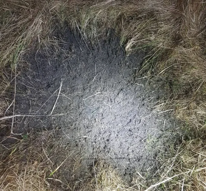 На Житомирщині біля лікарні підірвали боєприпас