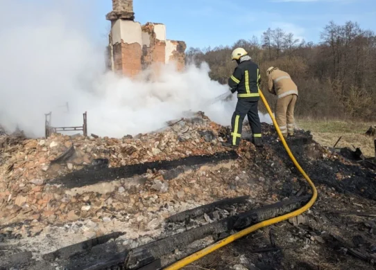 Під час ліквідації пожежі на Житомирщині виявили тіло пенсіонерки