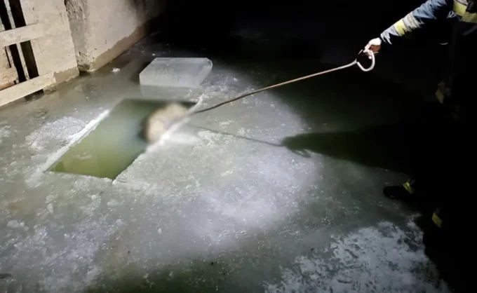 На Житомирщині рибалки за допомогою підводної відеокамери виявили потопельника під кригою