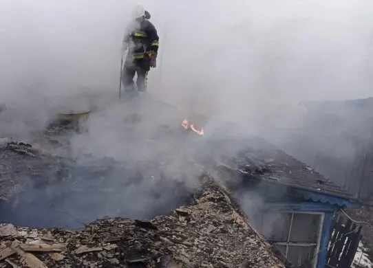 Під час ліквідації пожеж на Житомирщині рятувальники виявили тіла двох пенсіонерів