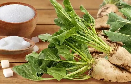 За 2023 рік два житомирських заводи виробили понад 60 тисяч тонн цукру