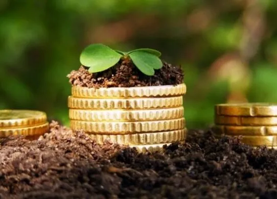 Адвокат на Житомирщині незаконно орендував землі померлих людей