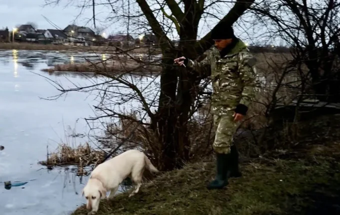 Житомирянина, чию кінцівку приніс собака, вбили на початку січня - частини його тіла були розкидані по Житомиру