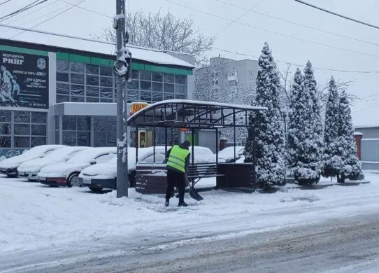 Житомир засипало снігом - за ніч випало близько 15 см снігу