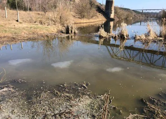 Під Житомиром нечистоти потрапили у річку Тетерів